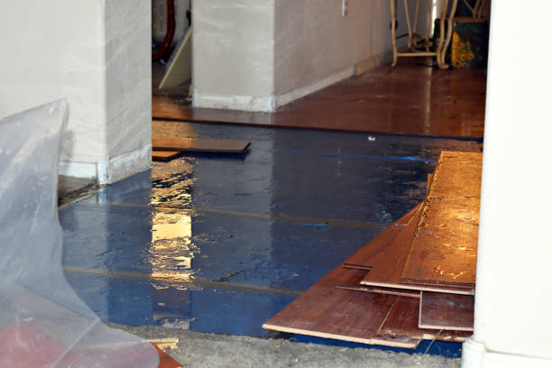 Professional Sewage Cleanup technician working in Bridgeport, MI